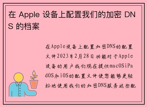 在 Apple 设备上配置我们的加密 DNS 的档案 